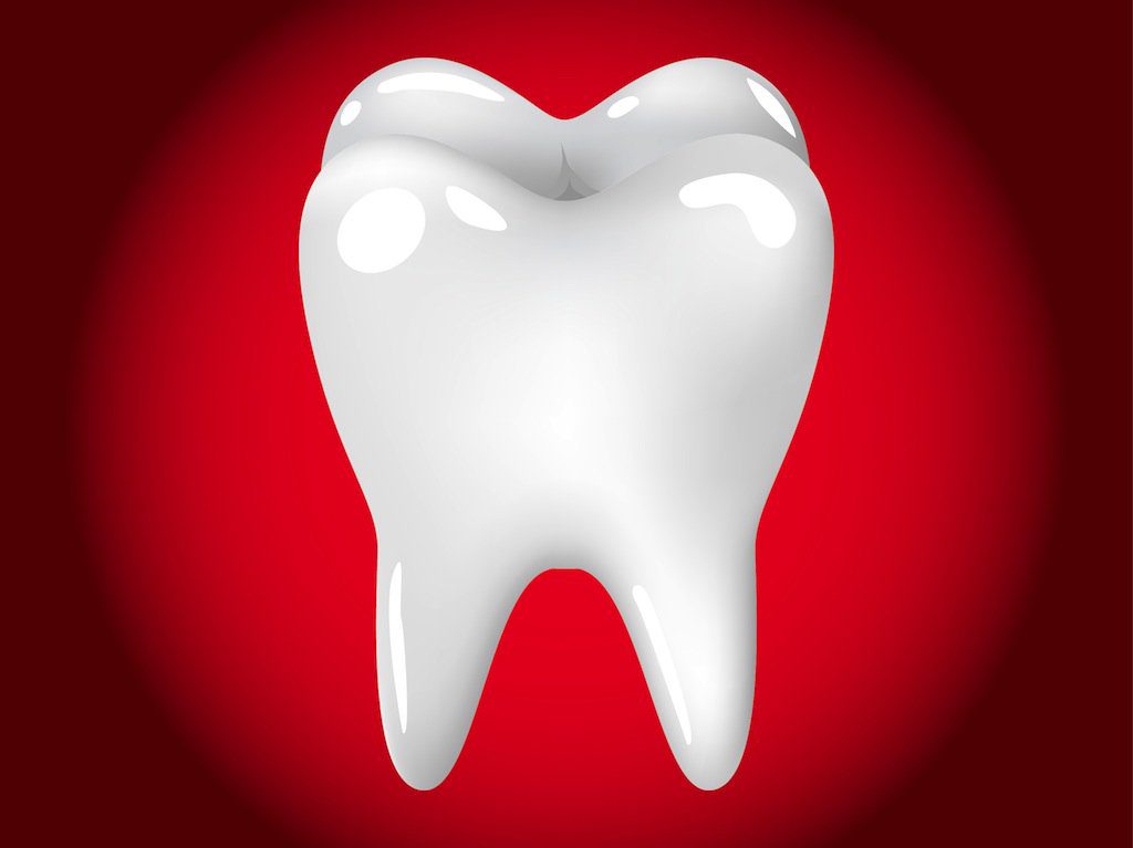 Call South Boston Tremont Dental For An Appointment located in Massachusetts